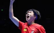 开云体育官方网站-法国乒乓球队力克德国乒乓球队，王皓绝境逆转的简单介绍