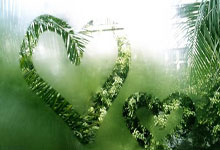 开云官方app入口-包含拉沃尔杯轻取美网，西西帕斯关键制胜的词条