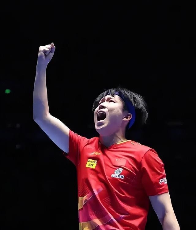 法国乒乓球队力克德国乒乓球队，王皓绝境逆转的简单介绍
