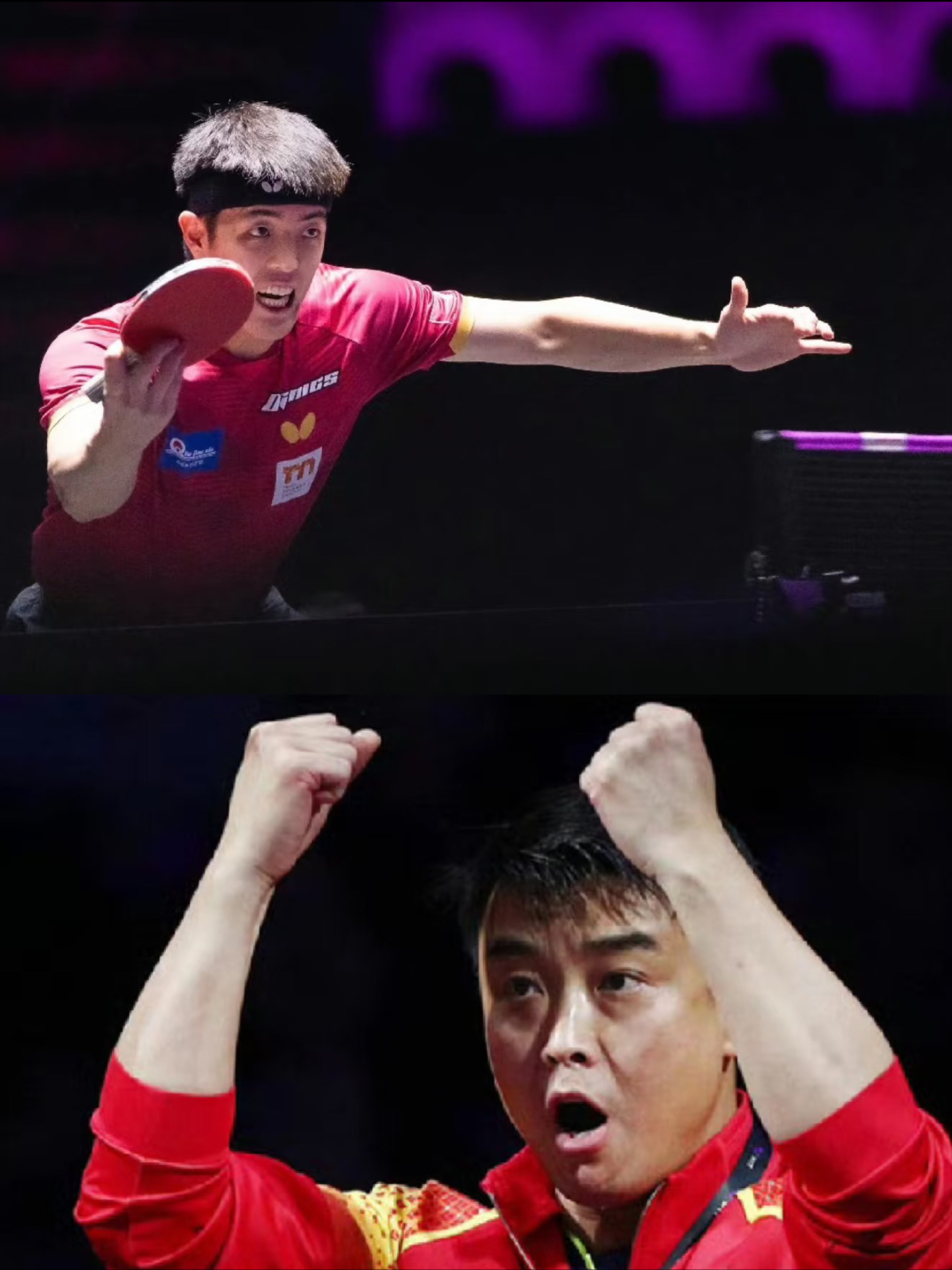 法国乒乓球队力克德国乒乓球队，王皓绝境逆转的简单介绍